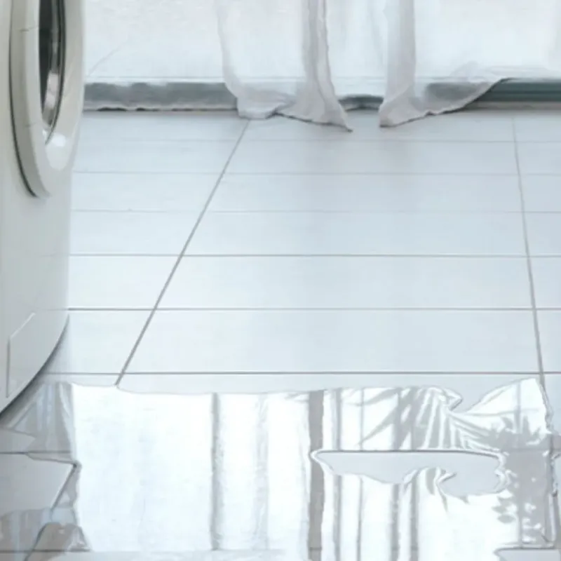 Appliance Leak Cleanup in Simpsonville, KY