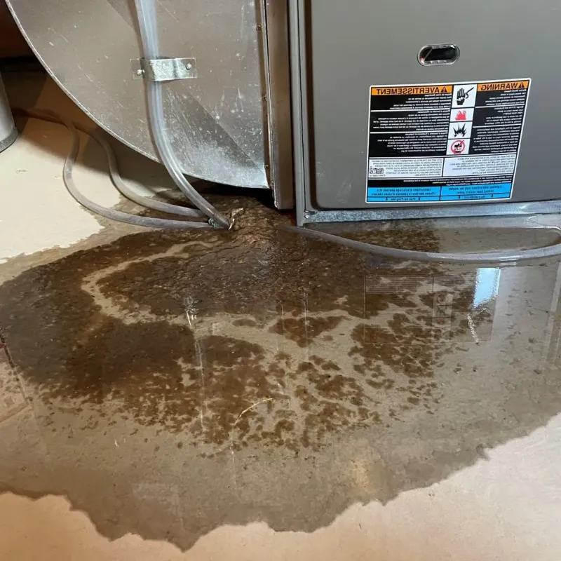 Pipe Burst and Leak Restoration in Simpsonville, KY
