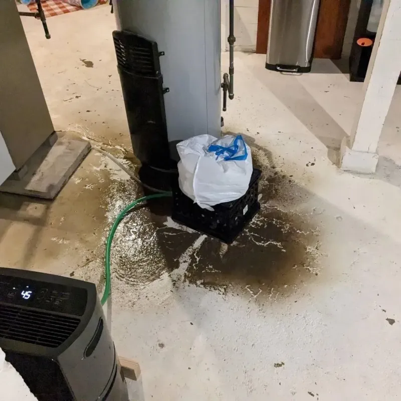 Sewage Backup Cleanup Service in Simpsonville, KY